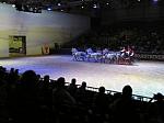 P3040061_th.jpg 4.1K