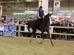 P3040083_th.jpg 6.1K