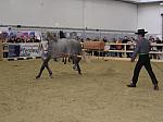 P3040085_th.jpg 4.4K