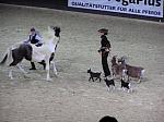 P3040086_th.jpg 4.8K