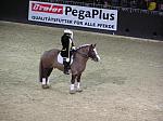 P3040087_th.jpg 4.9K