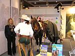 P3040099_th.jpg 6.4K