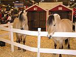 P3040107_th.jpg 6.4K