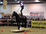 P3040114_th.jpg 5.9K