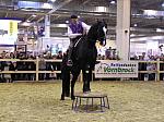 P3040115_th.jpg 6.7K