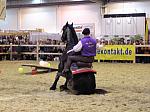 P3040119_th.jpg 6.1K