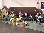 P3040132_th.jpg 5.6K