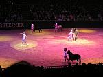 P3040143_th.jpg 4.1K