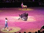 P3040146_th.jpg 4.6K