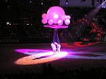 P3040157_th.jpg 4.4K