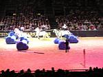 P3040195_th.jpg 5.3K