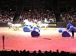 P3040196_th.jpg 5.6K