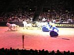 P3040197_th.jpg 5.2K