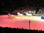 P3040198_th.jpg 4.6K