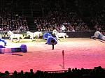 P3040203_th.jpg 5.3K