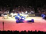 P3040205_th.jpg 5.3K