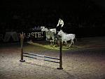 P3040262_th.jpg 3.7K