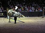 P3040265_th.jpg 5.1K