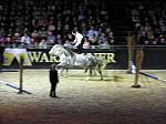 P3040277_th.jpg 5.2K