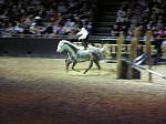 P3040279_th.jpg 4.9K