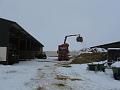IMG_1269