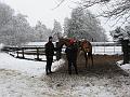 IMG_1284