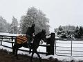 IMG_1286