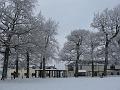 IMG_1295