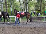 P5010040_th.jpg 6.8K