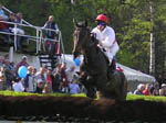 P5010075_th.jpg 5.9K