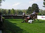 P5010088_th.jpg 5.2K