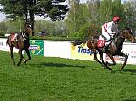 P5010090_th.jpg 6.4K