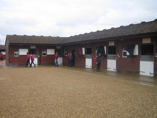 Newmarket_06_III_22.jpg 37.8K