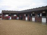 Newmarket_06_III_22_th.jpg 4.0K