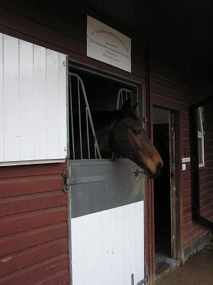 Newmarket_06_III_26.jpg 14.5K