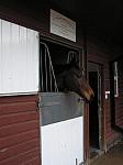 Newmarket_06_III_26_th.jpg 3.7K