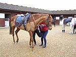 Newmarket_06_III_32_th.jpg 5.9K
