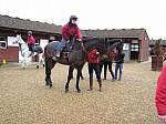 Newmarket_06_III_33_th.jpg 5.5K