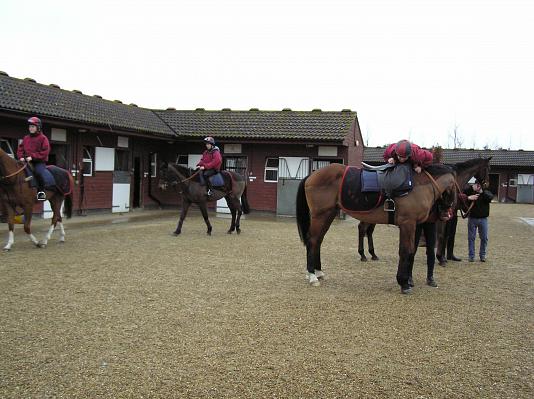 Newmarket_06_III_34.jpg 41.9K