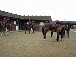 Newmarket_06_III_34_th.jpg 4.5K