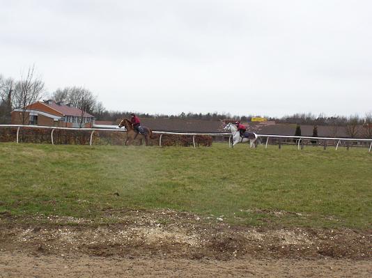 Newmarket_06_III_35.jpg 35.3K