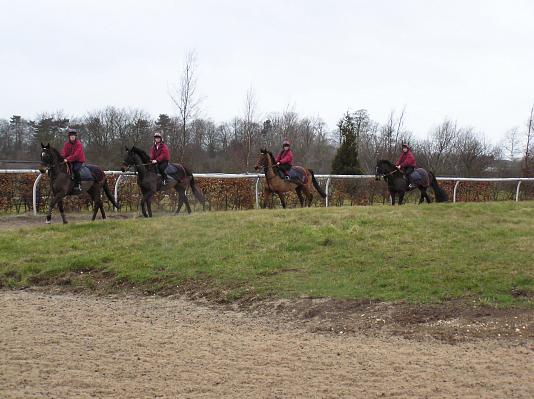 Newmarket_06_III_36.jpg 40.9K