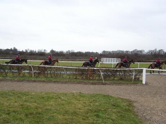 Newmarket_06_III_37.jpg 32.3K