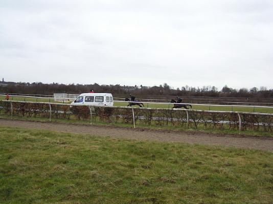 Newmarket_06_III_38.jpg 31.2K