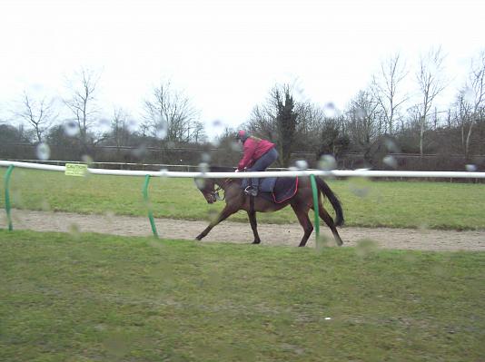 Newmarket_06_III_39.jpg 32.1K