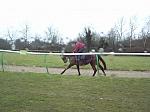 Newmarket_06_III_39_th.jpg 4.0K