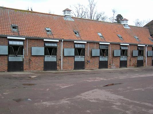 Newmarket_06_III_41.jpg 45.6K