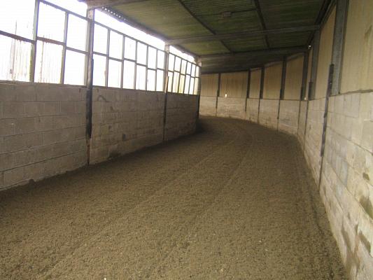 Newmarket_06_III_42.jpg 32.0K