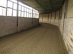 Newmarket_06_III_42_th.jpg 4.1K