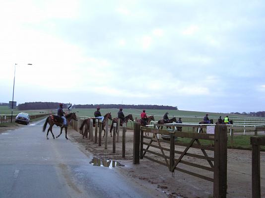 Newmarket_06_III_44.jpg 23.9K